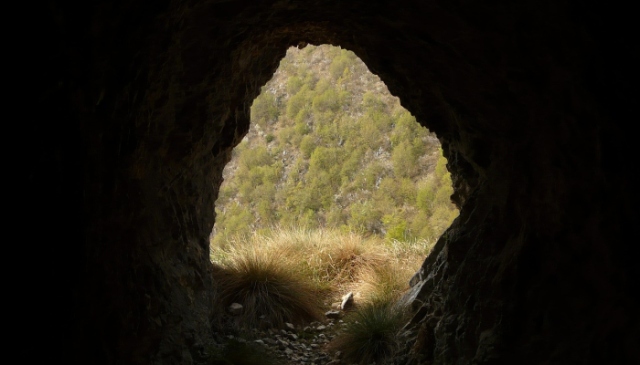 玩家必看教程“微乐麻将怎么样才能一直赢”(曝光透视必备猫腻) 玩家必看教程“微乐麻将怎么样才能一直赢”(曝光透视必备猫腻)
