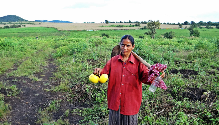 在加州极端高温下工作的农场工人死亡家庭，寻求答案的倡导者
