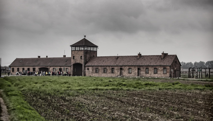 戴安娜王妃的羊毛衫在纽约拍卖会上拍出了114万美元的天价 戴安娜王妃的羊毛衫在纽约拍卖会上拍出了114万美元的天价