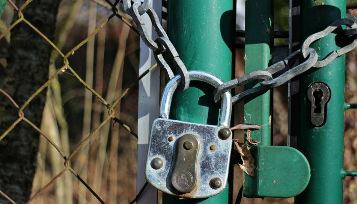 教程辅助!“椰子乐动炸金花有挂吗!详细分享装挂步骤
