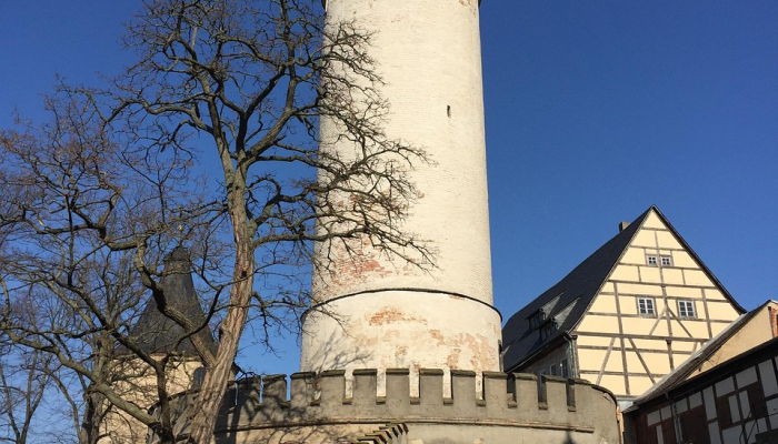 “这是我们的历史,现在它被活活烧死了”:来自毛伊岛的波士顿大学学生在曾经是她高中的避难所做志愿者 “这是我们的历史,现在它被活活烧死了”:来自毛伊岛的波士顿大学学生在曾经是她高中的避难所做志愿者