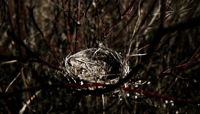 SC警察说,在树林里工作的工作人员偶然发现了遗骸它们属于一个失踪的人 SC警察说,在树林里工作的工作人员偶然发现了遗骸它们属于一个失踪的人