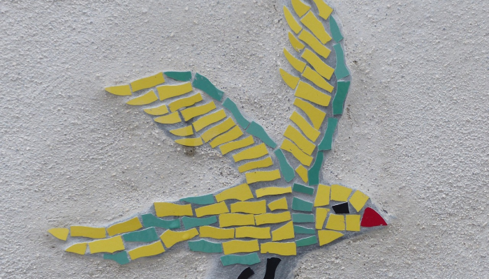 今日教程“新青鸟拼三张开挂!详细分享装挂步骤