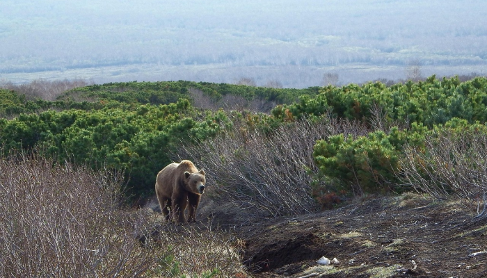 里昂·福特谨慎乐观 里昂·福特谨慎乐观