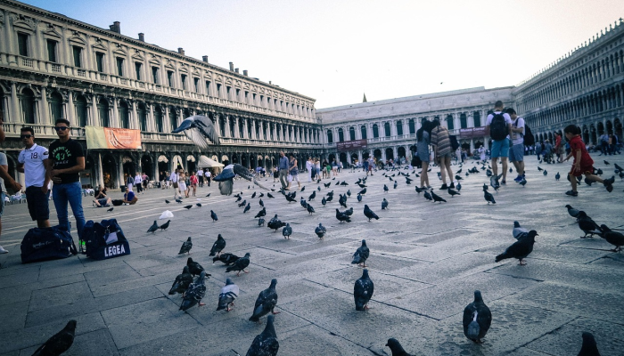 为了减少游客数量,威尼斯将对一日游游客收取5欧元的费用 为了减少游客数量,威尼斯将对一日游游客收取5欧元的费用