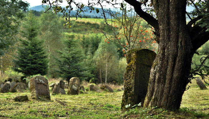 一名失踪士兵的73年之谜在NC公墓结束 一名失踪士兵的73年之谜在NC公墓结束
