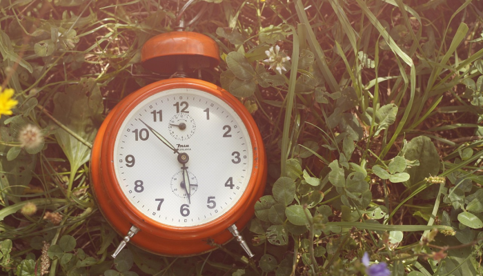 3分钟学会“天天休闲可以开挂吗”其实确实有挂 3分钟学会“天天休闲可以开挂吗”其实确实有挂