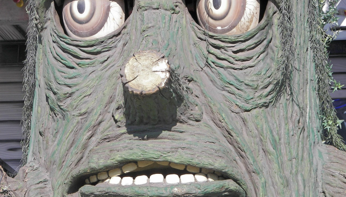 “神秘”的生物——有锋利的爪子——被发现潜伏在岛上这是一个新物种 “神秘”的生物——有锋利的爪子——被发现潜伏在岛上这是一个新物种