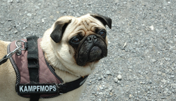 “我们的小女孩脱离了危险她很警觉,甚至还笑了——在托儿所袭击中受伤的5岁孩子的妈妈 “我们的小女孩脱离了危险她很警觉,甚至还笑了——在托儿所袭击中受伤的5岁孩子的妈妈