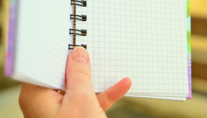 驻澳大利亚大使在对其任命的批评中回国