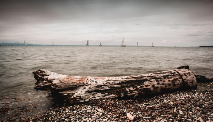 预报员警告说，爱荷华州将在预选前遭遇“危及生命”的暴风雪天气