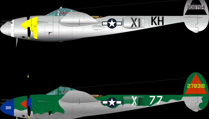 马拉维副总统乘坐的飞机失踪_2 马拉维副总统乘坐的飞机失踪_2