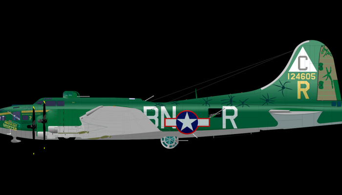 马拉维副总统乘坐的飞机失踪_2 马拉维副总统乘坐的飞机失踪_2