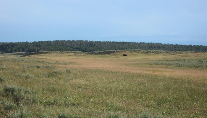 推荐一款”长乐麻将开挂神器免费下载”开挂(透视)辅助教程
