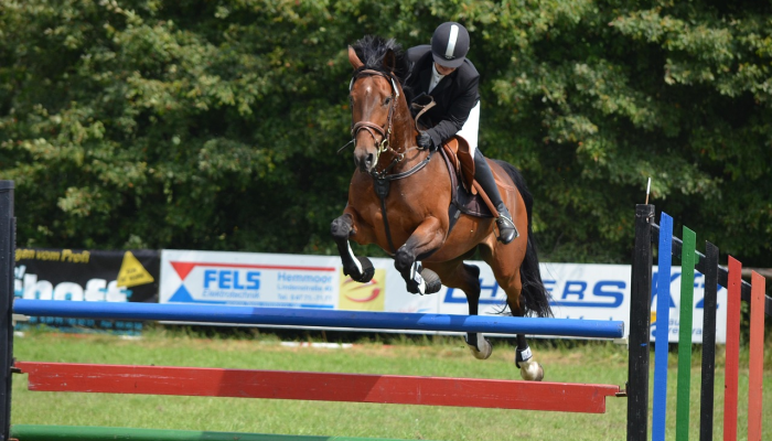 阿塞拜疆国家马术节开幕