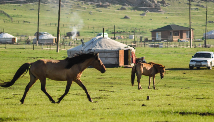 阿塞拜疆国家马术节开幕