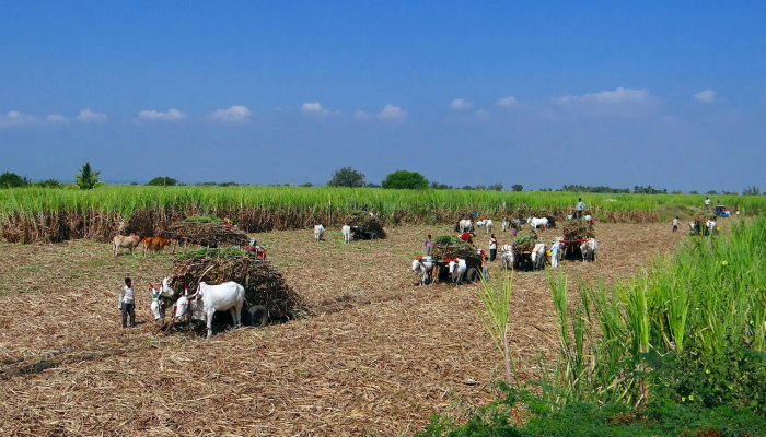 最新教你“微乐捉鸡麻将小程序开挂神器下载安装!分享用挂教程 最新教你“微乐捉鸡麻将小程序开挂神器下载安装!分享用挂教程