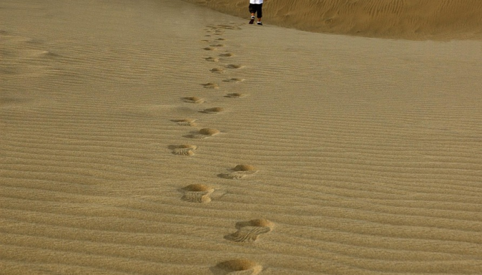 玩家辅助神器：“大满贯互娱有挂吗”分享用挂教程