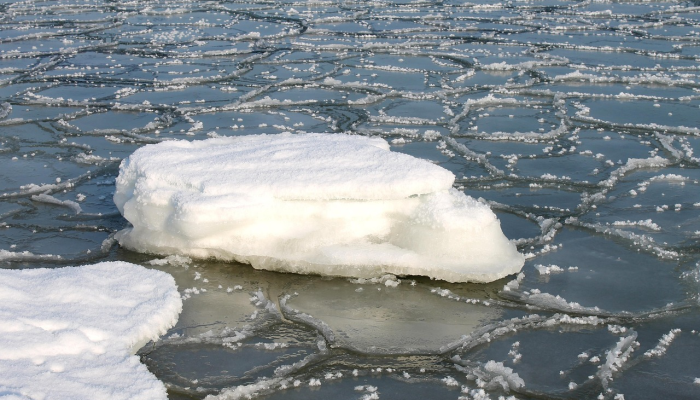 随着冬季风暴加剧,南加州迎来了罕见的降雪 随着冬季风暴加剧,南加州迎来了罕见的降雪