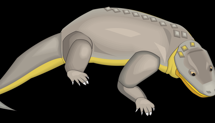 闻起来像黄油爆米花的“熊宝宝”刚刚在亚特兰大动物园出生见到他们 闻起来像黄油爆米花的“熊宝宝”刚刚在亚特兰大动物园出生见到他们