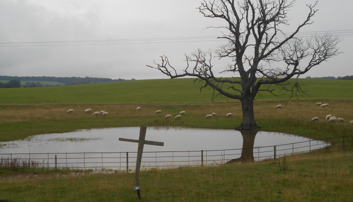 玩家必看教程“微信新道游牛牛挂天卡”分享用挂教程 玩家必看教程“微信新道游牛牛挂天卡”分享用挂教程