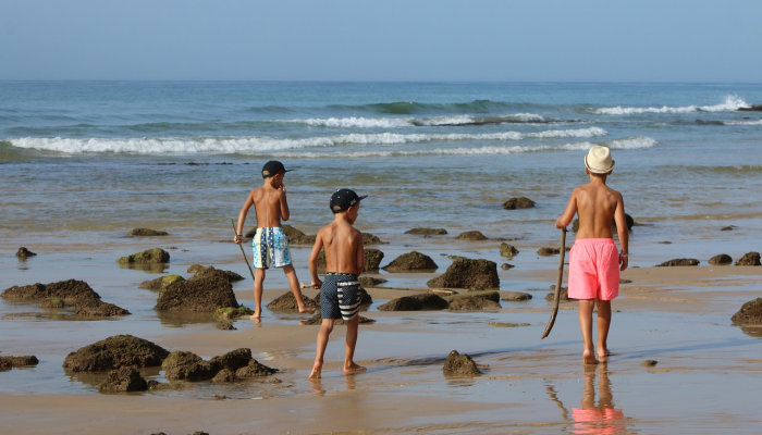 金蛋?在阿拉斯加海底看到的神秘闪亮的球体让海洋探险家们难住了 金蛋?在阿拉斯加海底看到的神秘闪亮的球体让海洋探险家们难住了