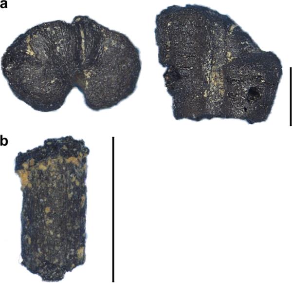 辅助神器“闲逸斗地主透视软件”其实确实有挂