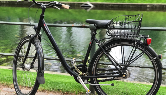 夏季,推特车的预订量激增,但增长受到野火的抑制 夏季,推特车的预订量激增,但增长受到野火的抑制