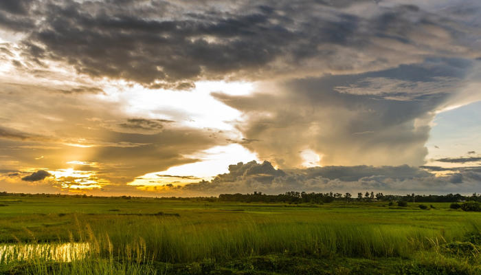 辅助神器“微乐春天扑克麻将怎么开挂”详细开挂玩法