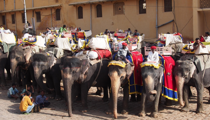 Sukhdev Singh Gogamedi被杀:拉贾斯坦邦警方首次逮捕23岁学生 Sukhdev Singh Gogamedi被杀:拉贾斯坦邦警方首次逮捕23岁学生