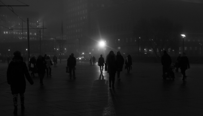 金属乐队演唱会上被遗弃的狗居然跑出来看乐队看她的表演 金属乐队演唱会上被遗弃的狗居然跑出来看乐队看她的表演