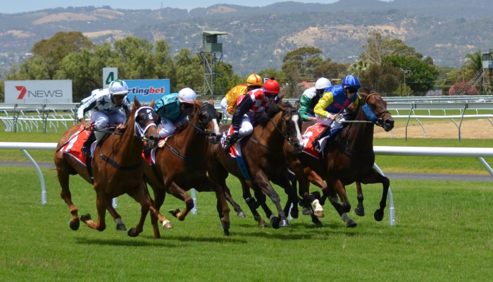 预备足球:第4周有3场比赛要看 预备足球:第4周有3场比赛要看