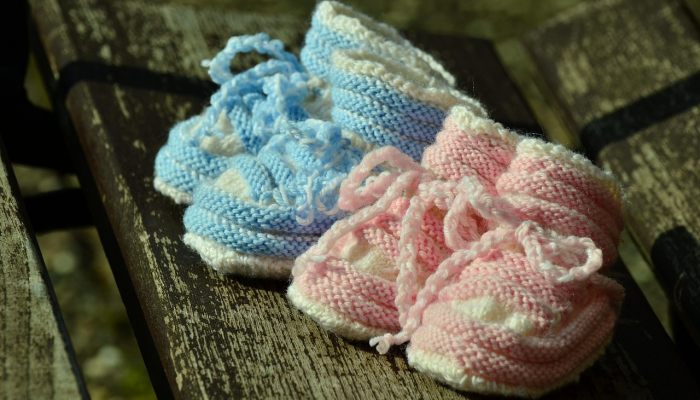 双胞胎的类型:同卵,异卵和更多 双胞胎的类型:同卵,异卵和更多