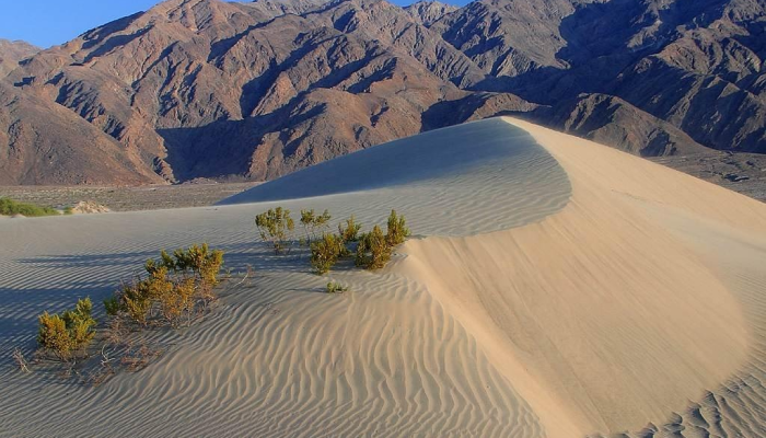 玩家必看教程“全民比鸡开挂辅助”详细开挂玩法 玩家必看教程“全民比鸡开挂辅助”详细开挂玩法