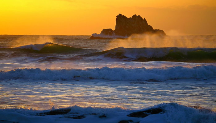 照片显示，罕见的掠食者在德克萨斯州的海滩上被发现“看看它，挖!””