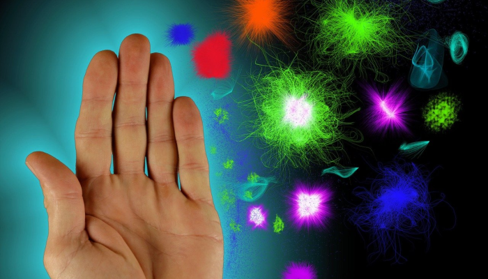 致命医院感染的惊人起源 致命医院感染的惊人起源