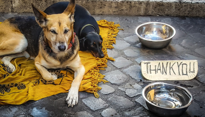 辅助神器“浙江游戏大厅辅助器随意选牌”分享用挂教程