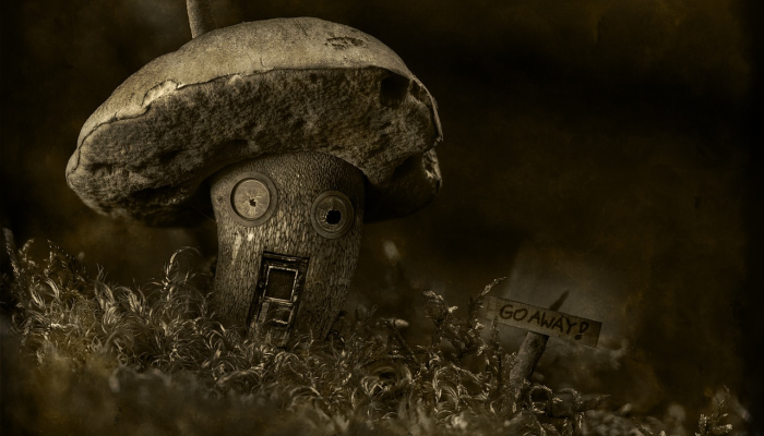 澳大利亚蘑菇“中毒”幸存者离开医院 澳大利亚蘑菇“中毒”幸存者离开医院