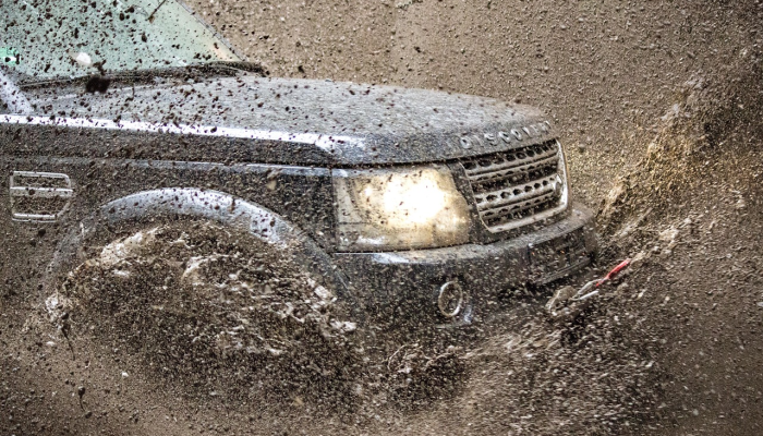 温蒂和理查德·皮尼的漫画系列得到福克斯剧本提交 温蒂和理查德·皮尼的漫画系列得到福克斯剧本提交