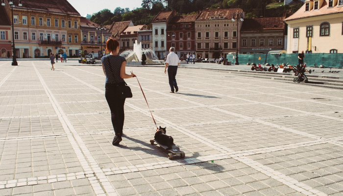 乌克兰警方和广播电台回到长期被占领的城市 乌克兰警方和广播电台回到长期被占领的城市