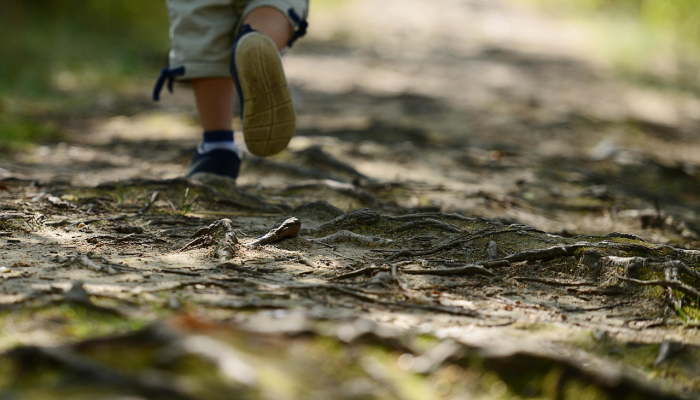 来看看坎布里亚郡的汤姆队长吧——尽管脊椎中枪,他还是徒步穿越了整个英国 来看看坎布里亚郡的汤姆队长吧——尽管脊椎中枪,他还是徒步穿越了整个英国