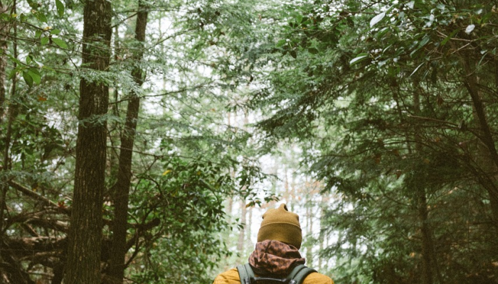 来看看坎布里亚郡的汤姆队长吧——尽管脊椎中枪,他还是徒步穿越了整个英国 来看看坎布里亚郡的汤姆队长吧——尽管脊椎中枪,他还是徒步穿越了整个英国