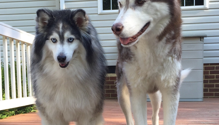 肯尼认为这是“不可原谅的”，没有足够的球员在青训系统中成长