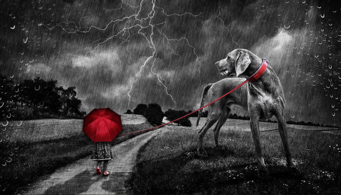 《抑制你的热情》将在第12季结束:“所以”拉里·大卫,“我向你告别” 《抑制你的热情》将在第12季结束:“所以”拉里·大卫,“我向你告别”