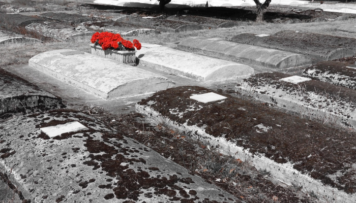 万能开挂辅助“莆仙吹牛有内置挂吗”开挂(透视)辅助教程 万能开挂辅助“莆仙吹牛有内置挂吗”开挂(透视)辅助教程