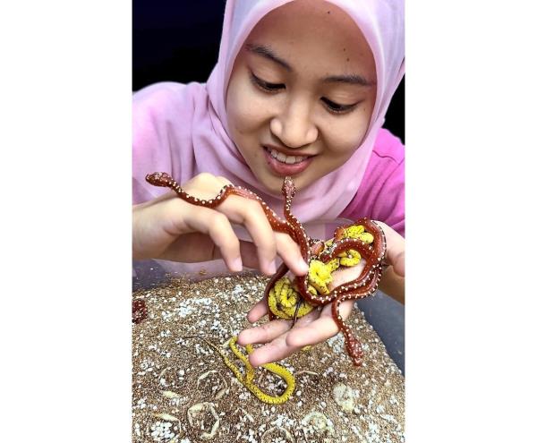 玩家辅助神器:“阿坝斗十四开挂神器免费!详细分享装挂步骤 玩家辅助神器:“阿坝斗十四开挂神器免费!详细分享装挂步骤