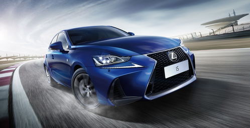 1分钟学会“微乐斗地主万能透视”详细开挂玩法