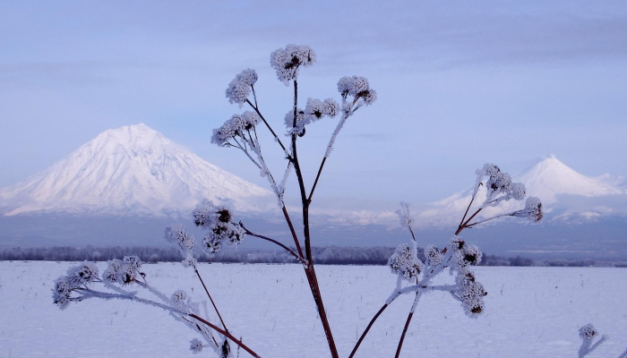 玩家辅助神器：“朋友安徽麻将开挂神器下载!详细分享装挂步骤