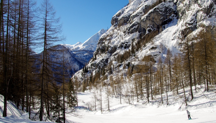 贝尔蒙特县解除了一级降雪紧急状态,诺布尔仍然有效 贝尔蒙特县解除了一级降雪紧急状态,诺布尔仍然有效
