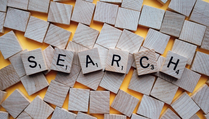 在安得拉邦的Ongole,苏铁种植是当地人的生计 在安得拉邦的Ongole,苏铁种植是当地人的生计